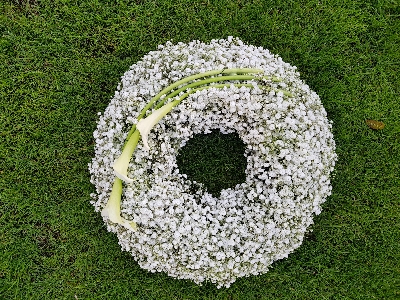 Gypsophila wreath