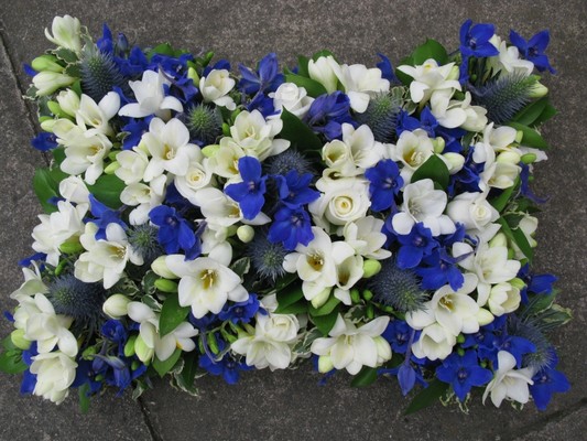 loose blue and white pillow