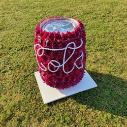 Coca Cola Can