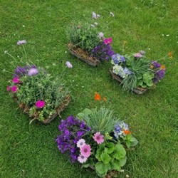 Funeral Hearse Planted Wreath Baskets