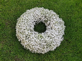 Gypsophila wreath