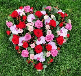 pink and red rose heart