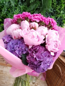 Peonies, Hydrangea, Carnations, Premium blooms, Spring, Sarah Bernhardt, 