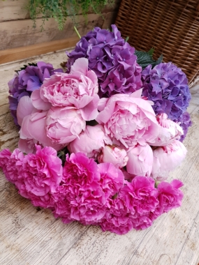 Peonies, Hydrangea, Carnations, Premium blooms, Spring, Sarah Bernhardt, 