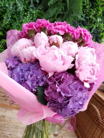Peonies, Hydrangea, Carnations, Premium blooms, Spring, Sarah Bernhardt, 