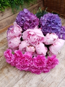 Peonies, Hydrangea, Carnations, Premium blooms, Spring, Sarah Bernhardt, 