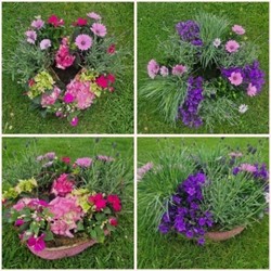 Biodegradable planted Heart and Wreath