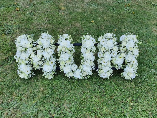 2.Loose Letters