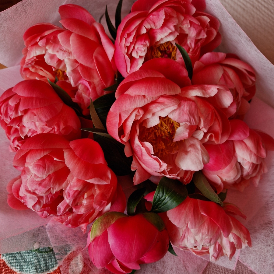 Spring Coral Charm Peony bouquet