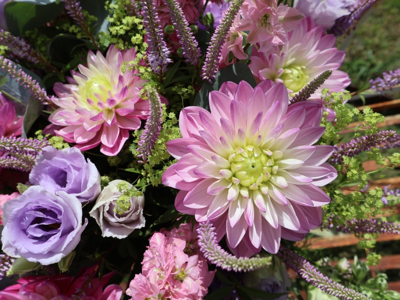 Summer garden bouquet in soft pinks and lilacs, featuring dahlia, delphinium larkspur, veronica, lisianthus, and alchemilla, styled in a wild, seasonal arrangement.