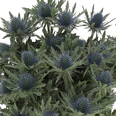 Luxury flower and foliage Christmas Wreath making workshop