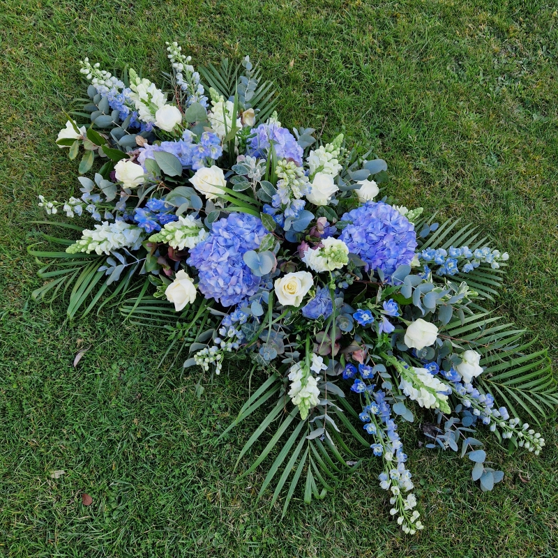 Blue Coffin Spray