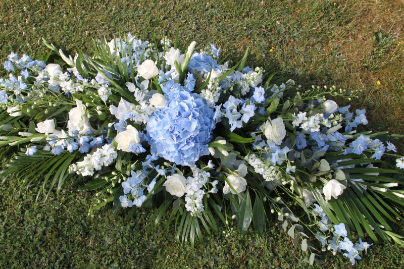 Blue Coffin Spray