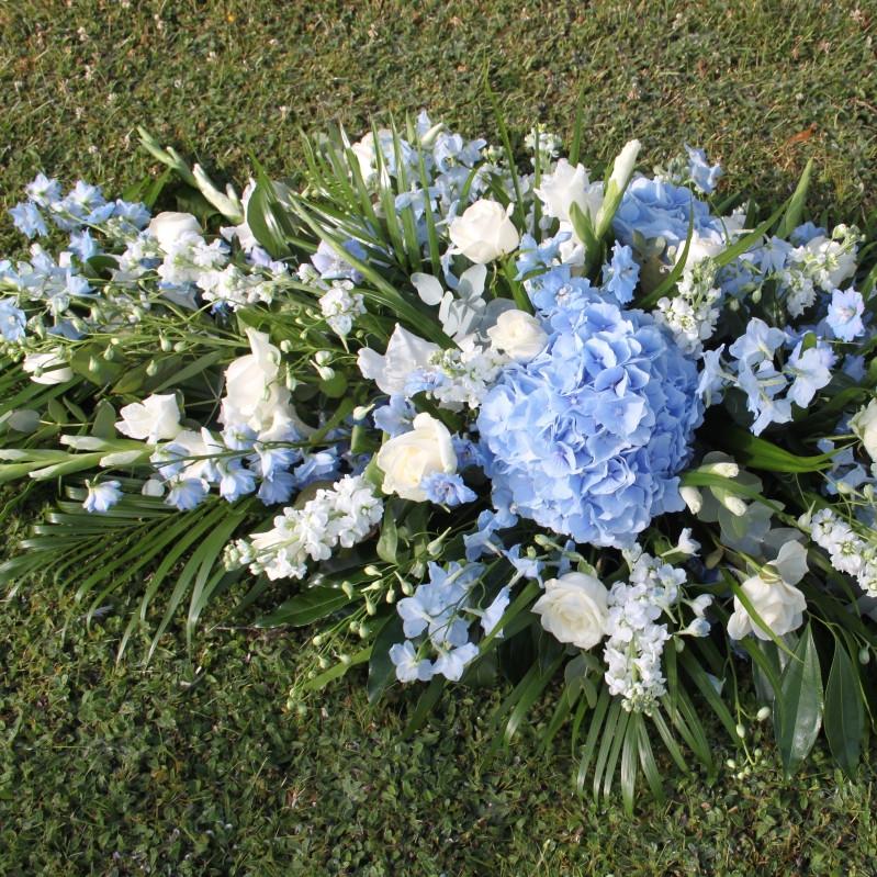 Blue Coffin Spray