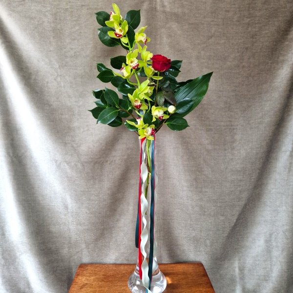 A tall glass vase arrangement featuring a green cymbidium orchid stem and a single velvety red rose, with glossy green foliage and trailing red and green ribbons.