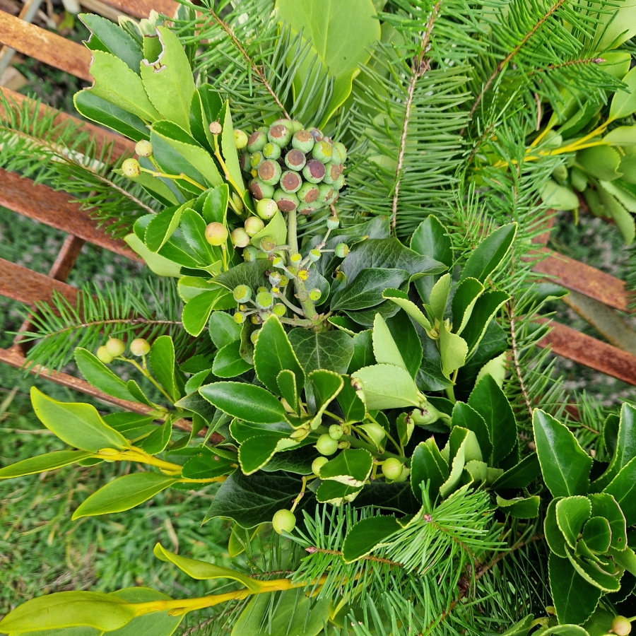 Biodegradable funeral wreath made with seasonal foliage on a mossed base.
