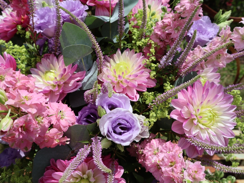 Summer garden bouquet in soft pinks and lilacs, featuring dahlia, delphinium larkspur, veronica, lisianthus, and alchemilla, styled in a wild, seasonal arrangement.