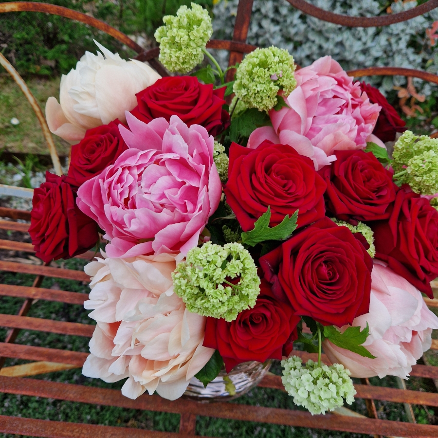 Spring vase of coral peonies and velvet red roses