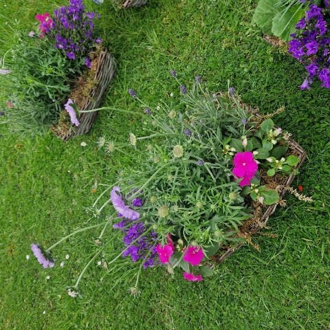 	Planted hearse baskets filled with seasonal plants, placed beside the coffin for an eco‑friendly funeral tribute.