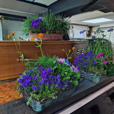 Planted garden tribute combining a biodegradable heart, wreath, and planted baskets arranged to dress the coffin and hearse.