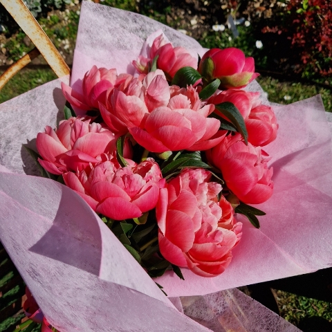 Spring Coral Charm Peony bouquet