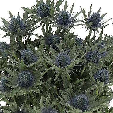 Luxury flower and foliage Christmas Wreath making workshop