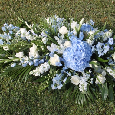 Blue Coffin Spray