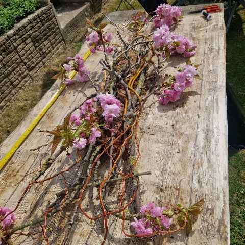 Foam‑free biodegradable coffin meadow with bright pink, apricot, yellow and purple seasonal flowers arranged on a visible moss, branch and chicken‑wire base.