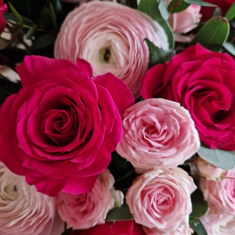 A hand‑tied Valentine’s bouquet of cerise and candy‑pink roses, pale pink ranunculus, camellia and eucalyptus, gift‑wrapped and presented in a kraft water‑holding bouquet box.