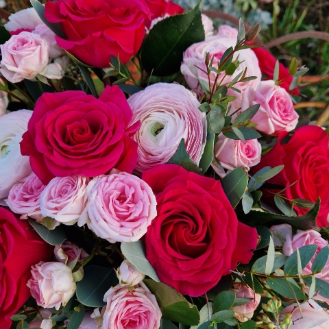 A hand‑tied Valentine’s bouquet of cerise and candy‑pink roses, pale pink ranunculus, camellia and eucalyptus, gift‑wrapped and presented in a kraft water‑holding bouquet box.