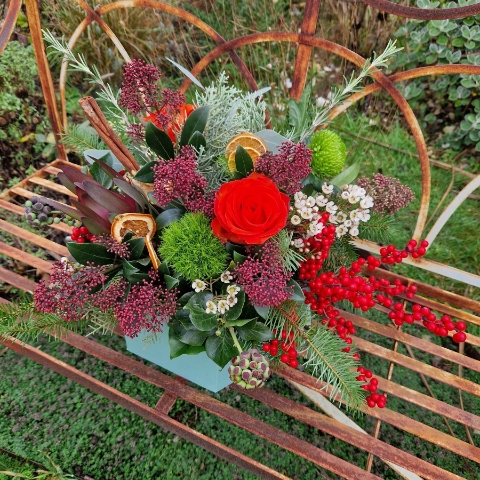 Christmas hat box arrangement with burnt orange roses, burgundy Skimmia, wax flower, ilex berries, pine, ivy berries, dried oranges, cinnamon sticks, and pine cones