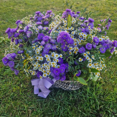 Foam‑free trug arrangement with seasonal daisy‑style flowers, including Michaelmas daisies, asters, Tanacetum, and mixed foliage.