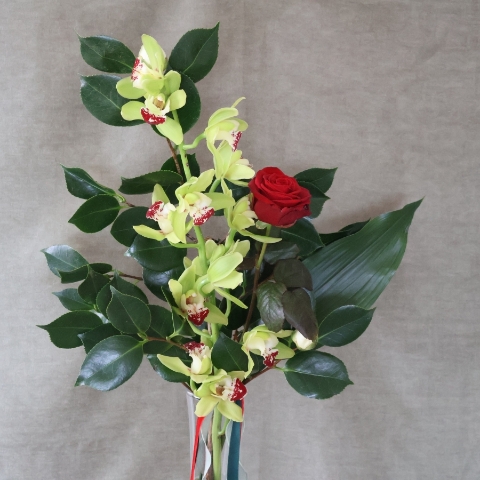 A tall glass vase arrangement featuring a green cymbidium orchid stem and a single velvety red rose, with glossy green foliage and trailing red and green ribbons.