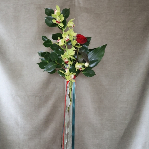 A tall glass vase arrangement featuring a green cymbidium orchid stem and a single velvety red rose, with glossy green foliage and trailing red and green ribbons.