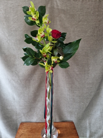 A tall glass vase arrangement featuring a green cymbidium orchid stem and a single velvety red rose, with glossy green foliage and trailing red and green ribbons.