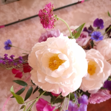 Peony and Petal