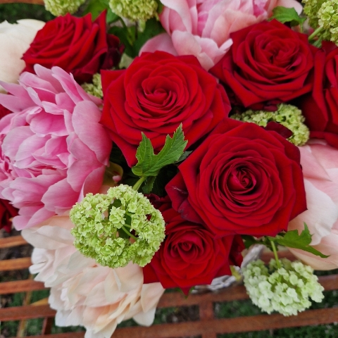 Spring vase of coral peonies and velvet red roses